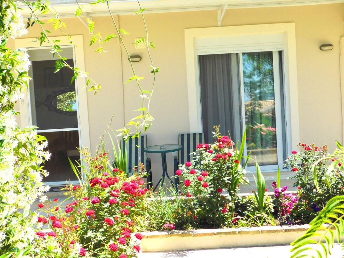 Olga'S Hill Perama (Corfu) Exterior foto