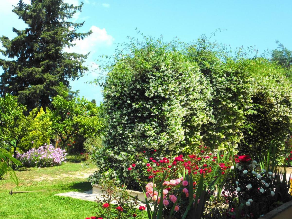 Olga'S Hill Perama (Corfu) Exterior foto